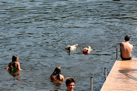 2014 Zorn Cottage-0335